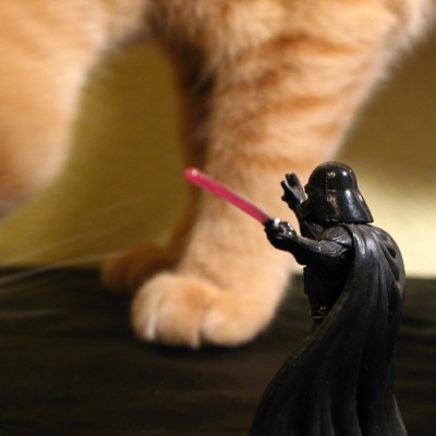 meowwars