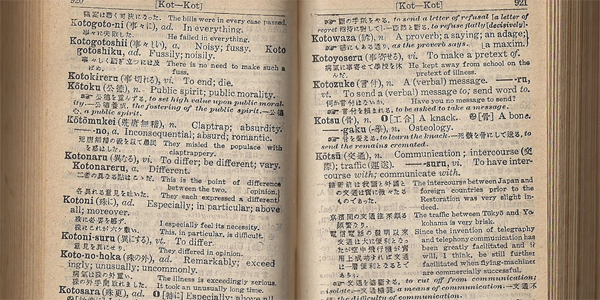 dictionary Dictionary